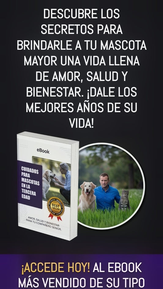 Cuidados para mascotas en la tercera edad.